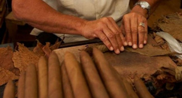 9 Způsobů, jak správně fermentovat tabák doma vlastníma rukama